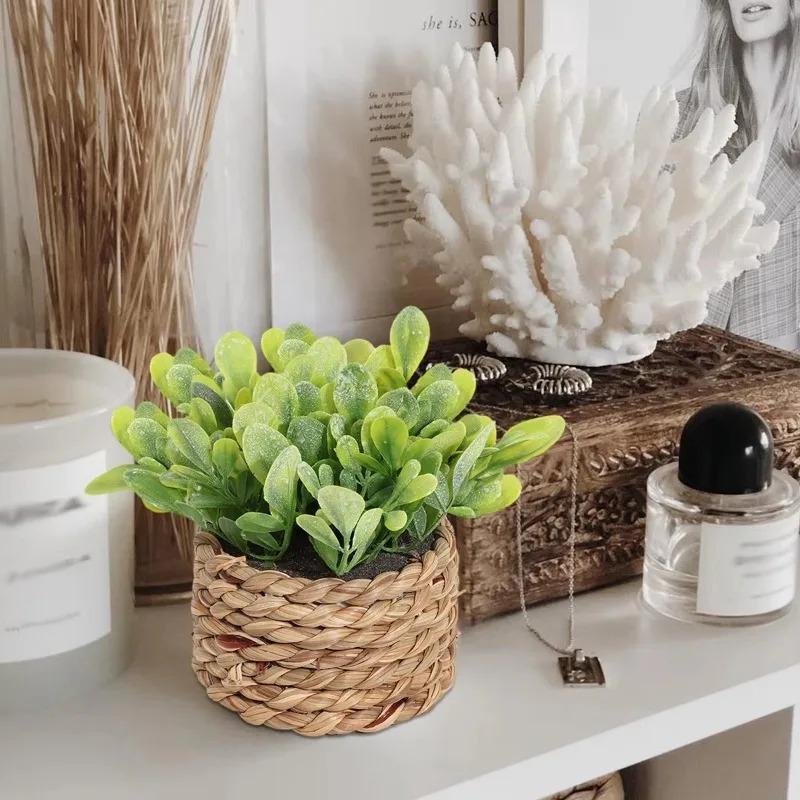 1個の鉢植えの植物、小さな人工植物、屋内ホームデコレーション - Home Office Layout のレビューと価格