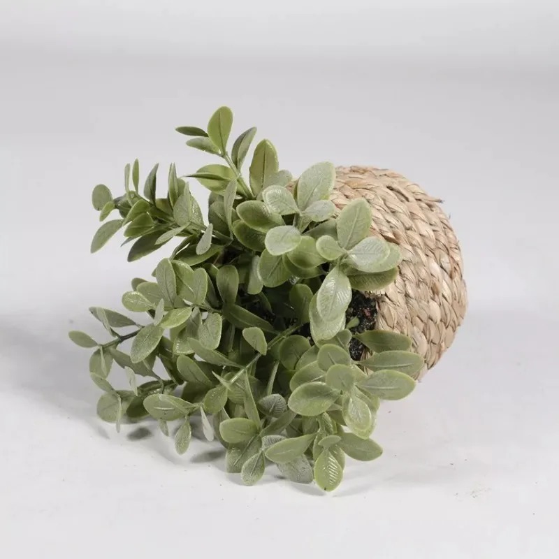 1個入り、編み込み加工の小さな人工観葉植物、ユーカリの葉、鉢 - Home Office Layout のレビューと価格