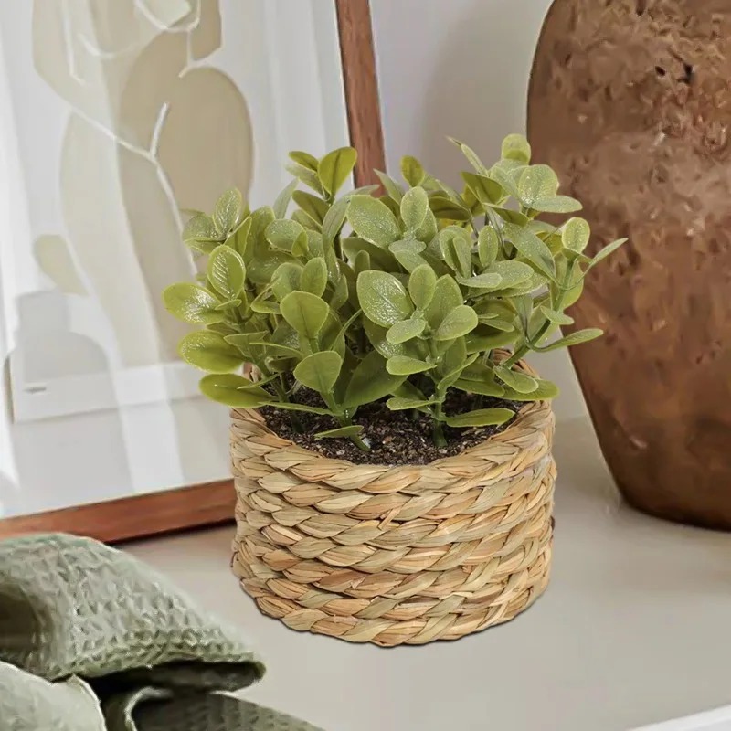 1個入り、編み込み加工の小さな人工観葉植物、ユーカリの葉、鉢 - Home Office Layout のレビューと価格