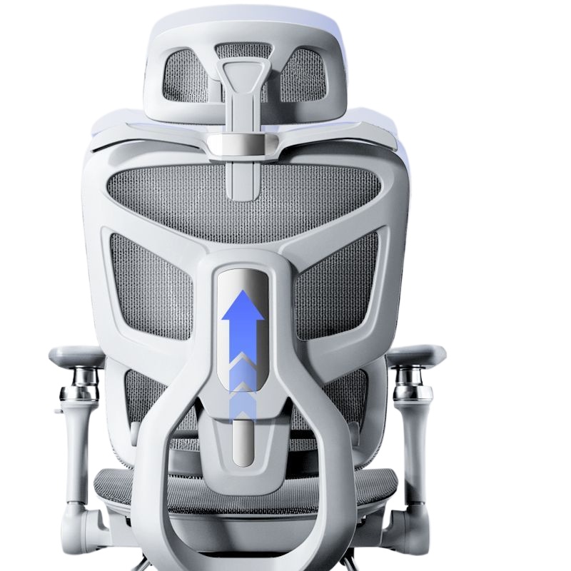 人間工学に基づいたオフィスチェア、腰椎サポート付き、自宅用、 - Ergonomic Office Chair のレビューと価格
